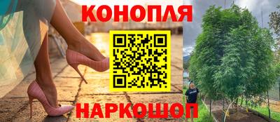 ПСИЛОЦИБИНОВЫЕ ГРИБЫ Сланцы
